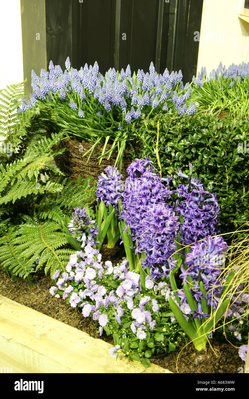 Spring flowers Georgian Garden Paul Martin myhome ie Spring Garden Show Dublin 2007 Stock Photo