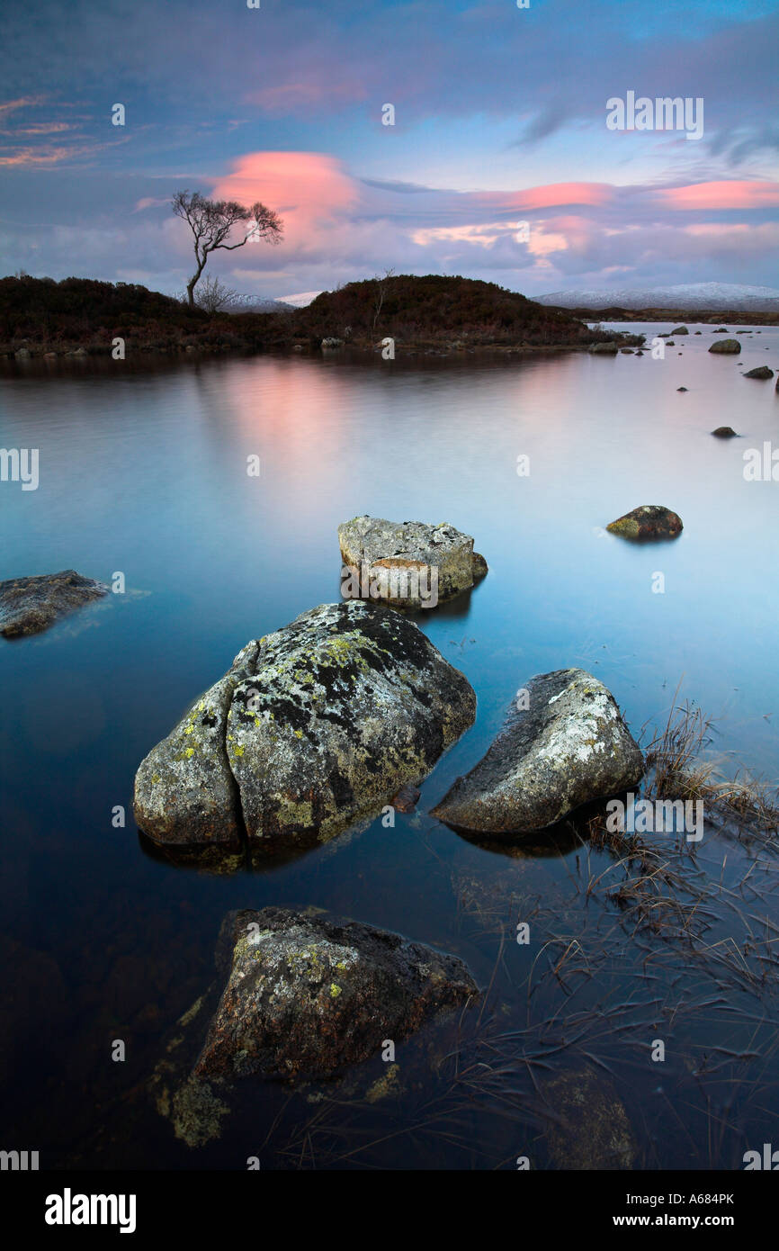 Lone tree isolated on a small island at Lochan Nah Achlaise in Rannoch Moor, Scottish Highlands Stock Photo