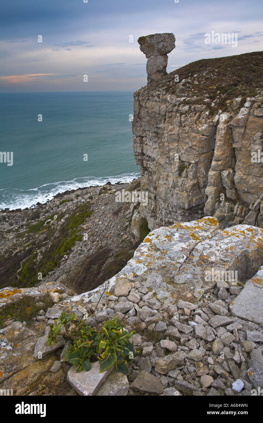 The clifftops of St Albans Head the southernmost point of the Isle of Purbeck Stock Photo