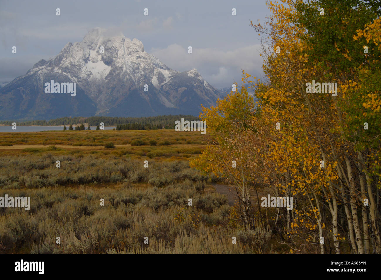 Mt. Moran in Grand Teton National Park Stock Photo - Alamy