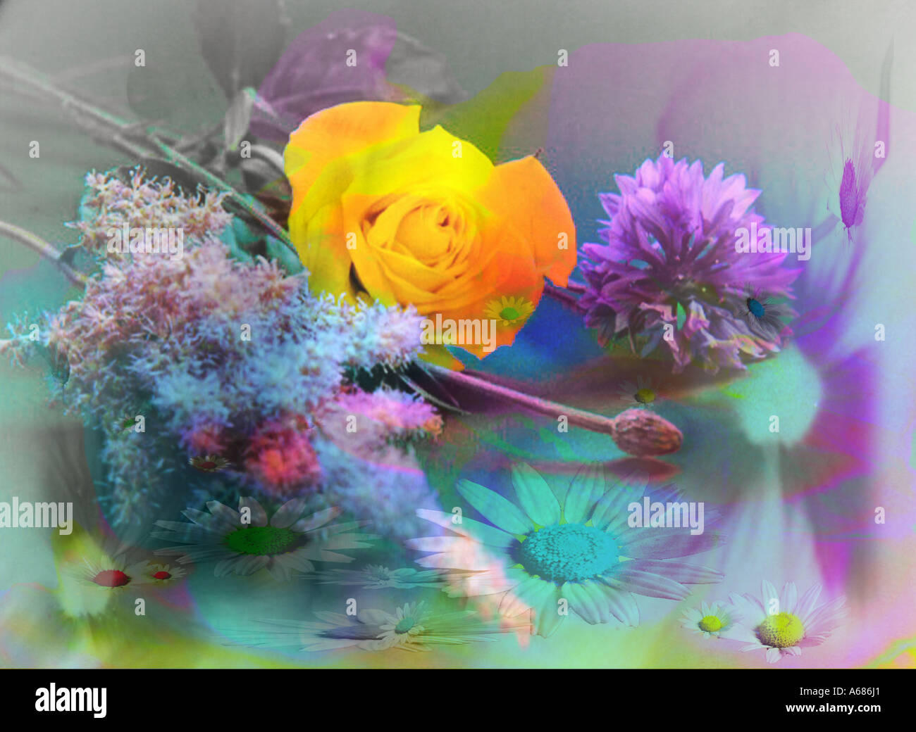 colourful digital flower collage Stock Photo