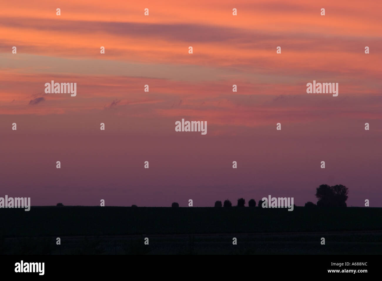 Silhouette of trees against a sunset simple colours hi-res stock ...