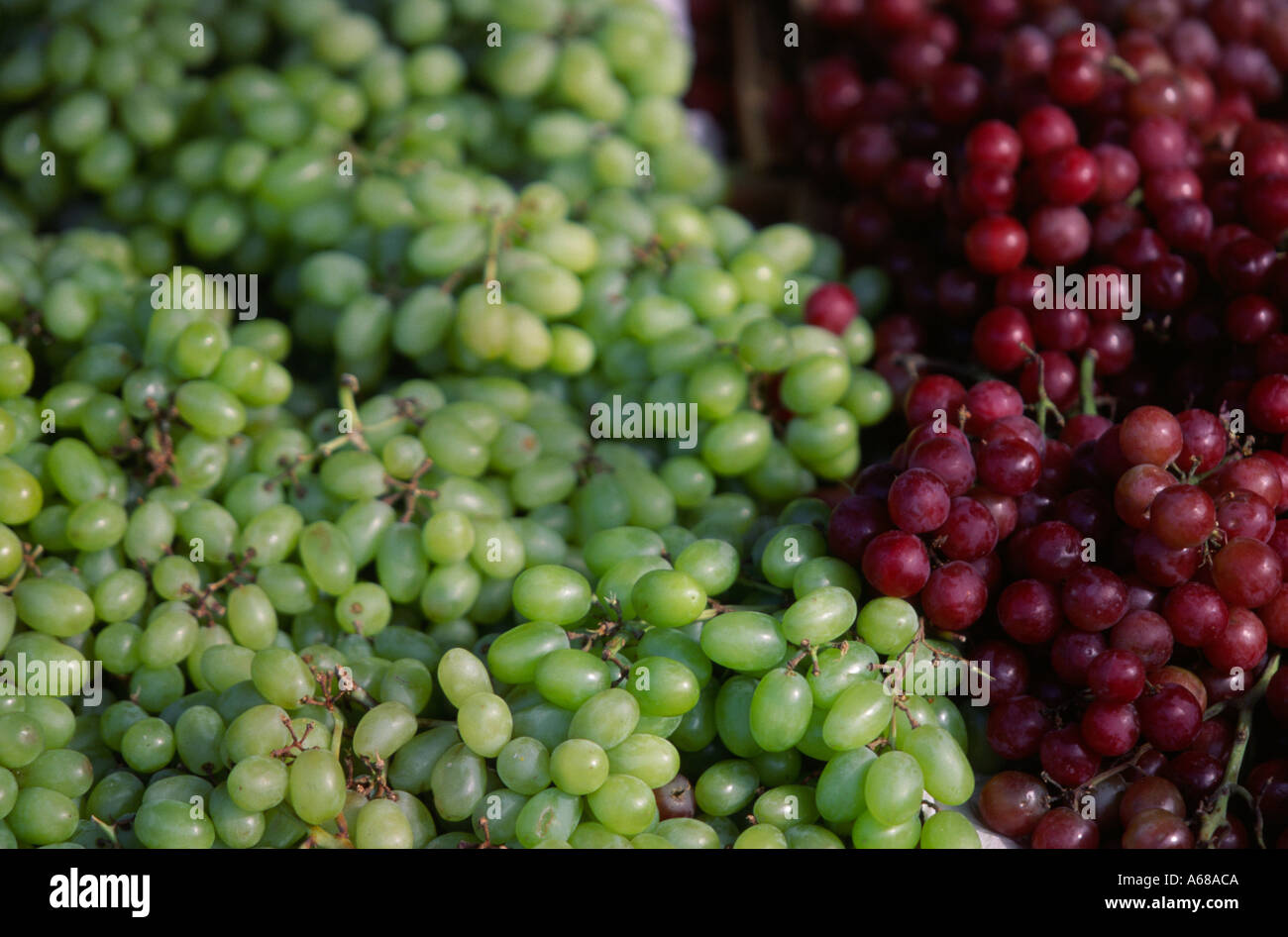 Grapes in Market Montreal Canada Stock Photo Alamy