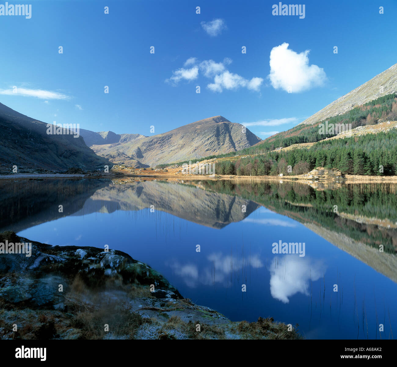 ireland, county kerry, killarney national park, highest mountain  range, beauty  in nature, Stock Photo