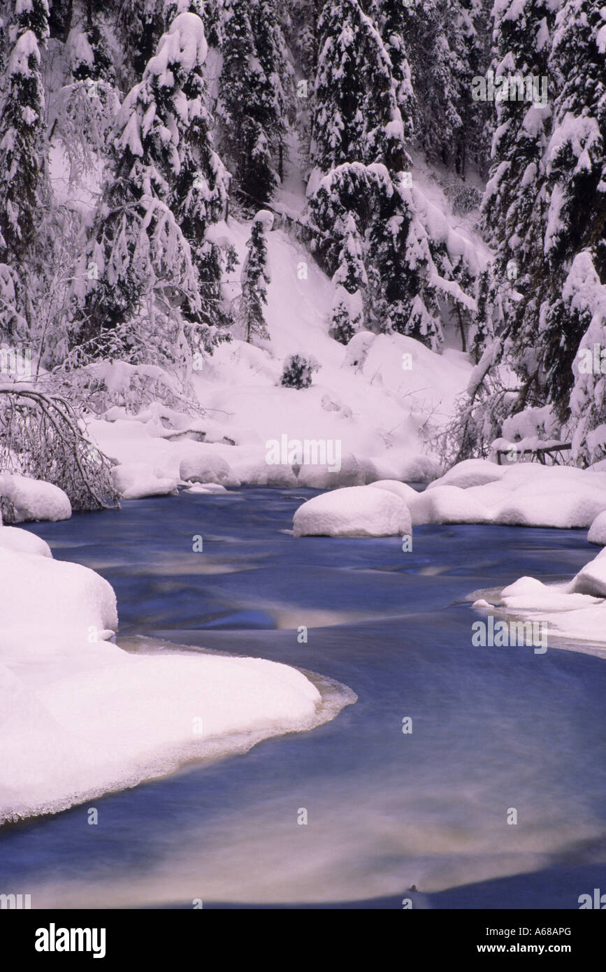 Canyon Creek scene in winter Bulkley Valley British Columbia Stock Photo