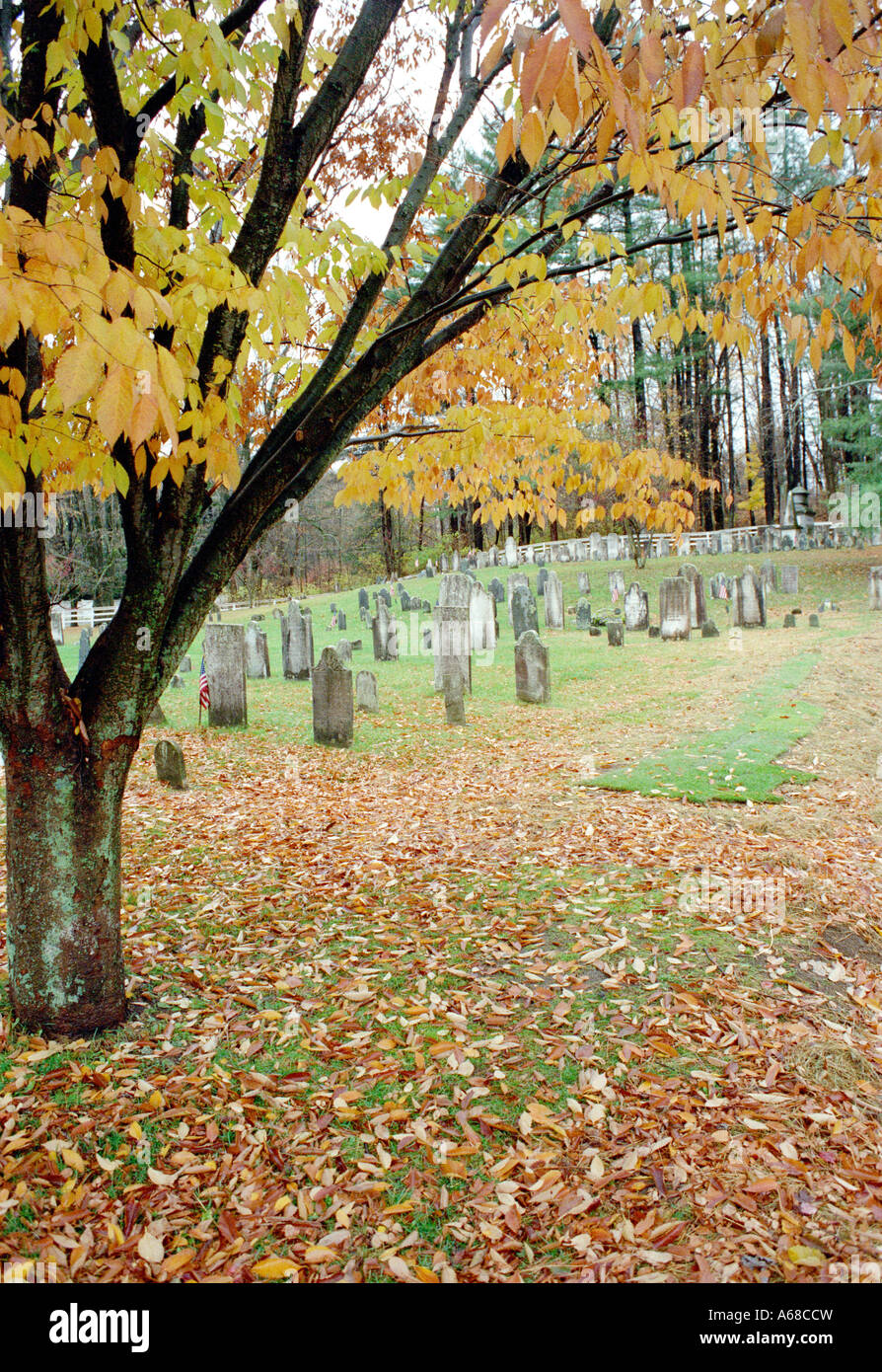 Graveyard viewed through Autumn Leaves, South Egremont, Massachusetts