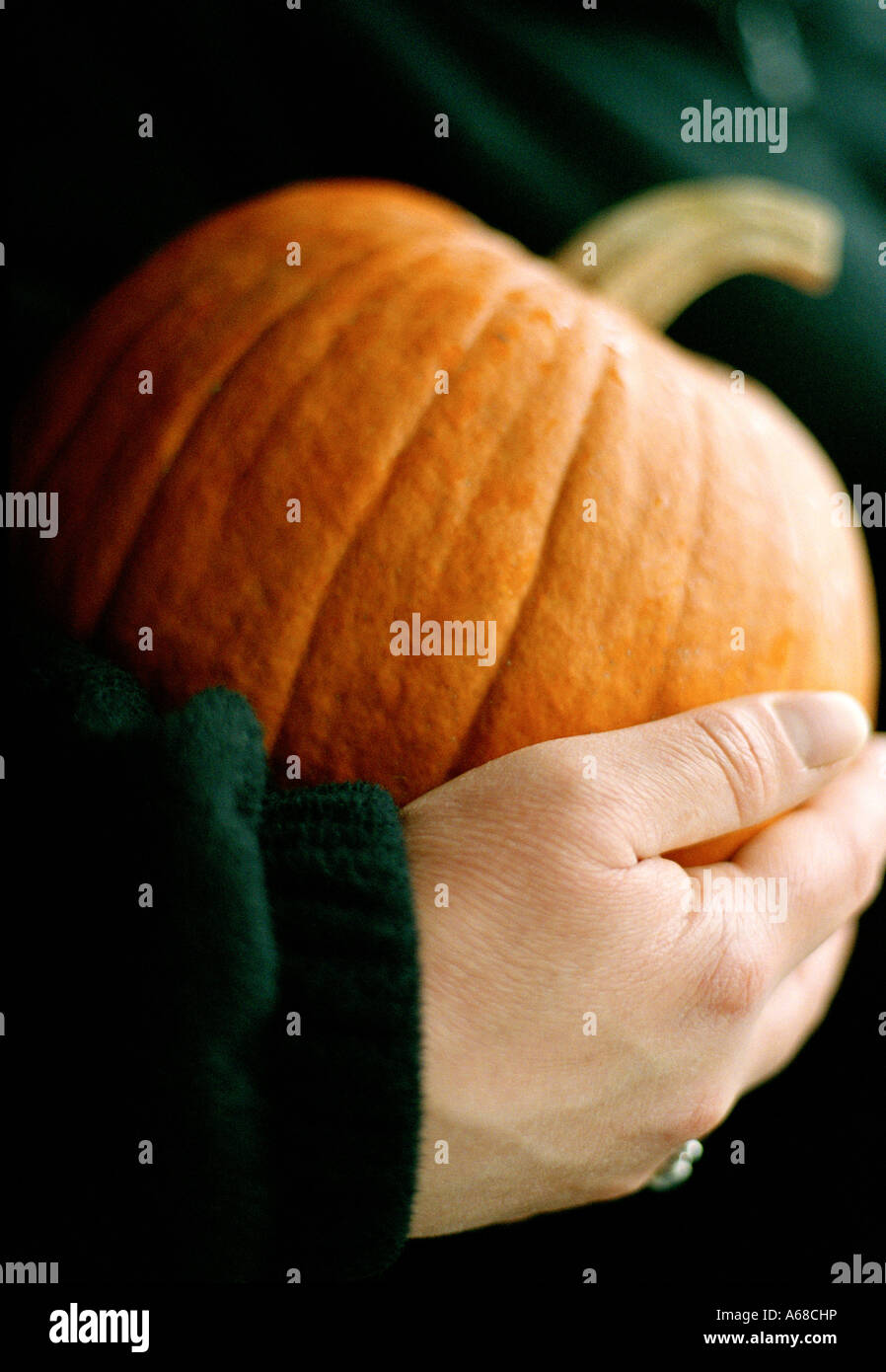 Woman Holding Pumpkin in Connecticut, New England, USA. Stock Photo