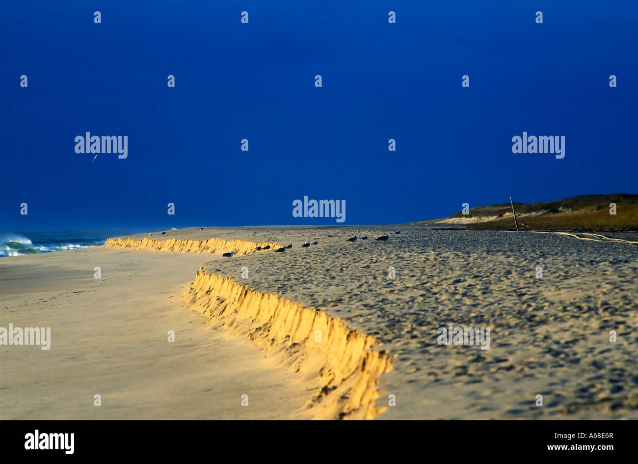 Beach erosion Nauset beach Orleans Cape Cod National seashore MA Stock Photo