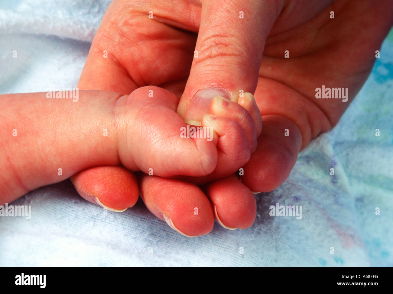 Newborn infant hand in mothers hand Stock Photo