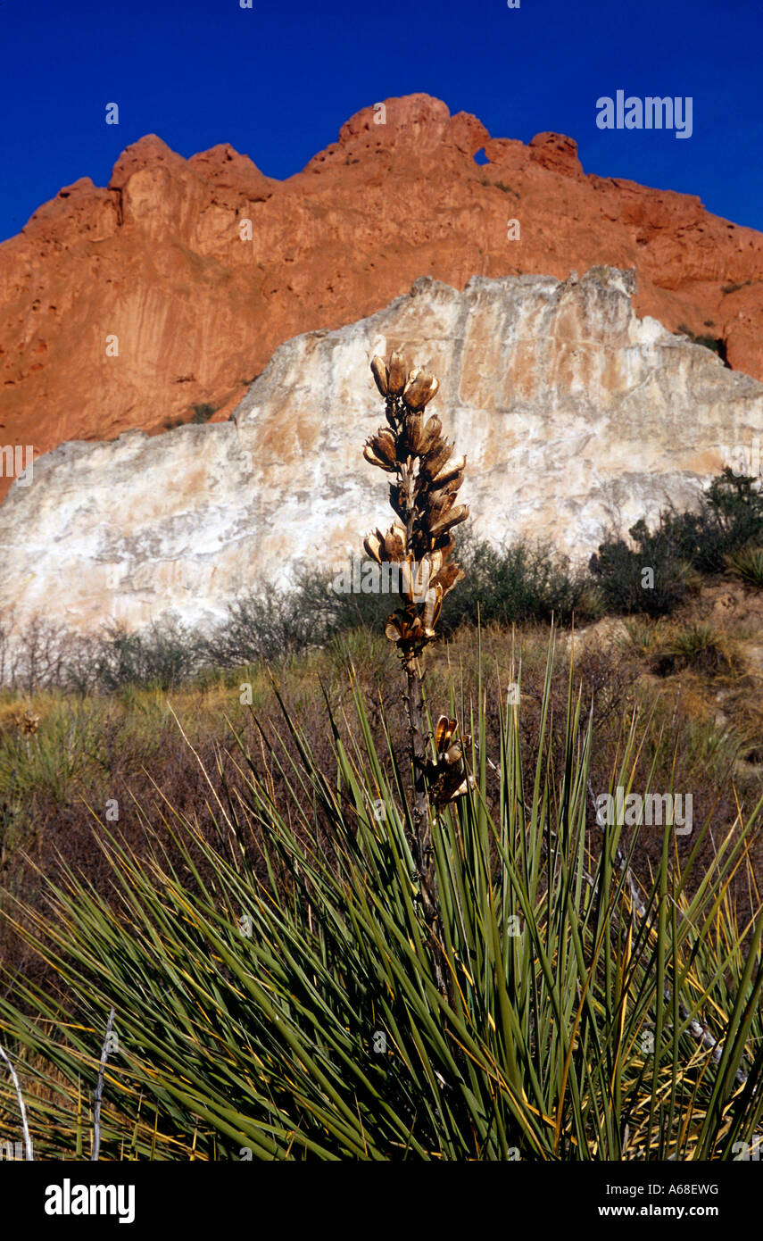 Rock formation in Garden of the Gods state park, Colorado Stock Photo