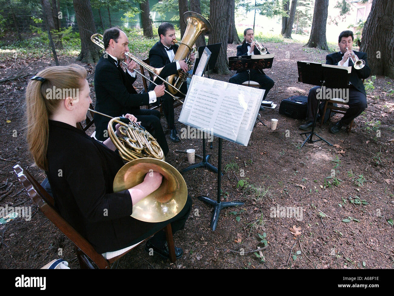 A group plays classical music under the trees at an outdoor reception Stock Photo