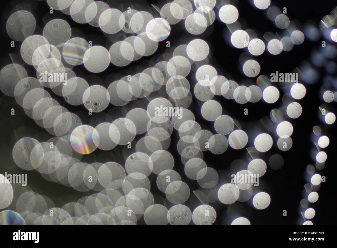 Spider Web, reflection of water drops against the sun Stock Photo