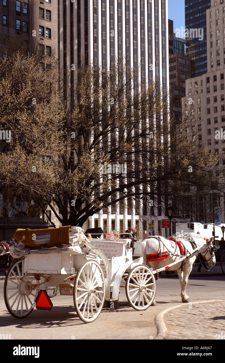 Horse and carts of hire outside the plaza Hotel mid-Manhatten New York City Stock Photo