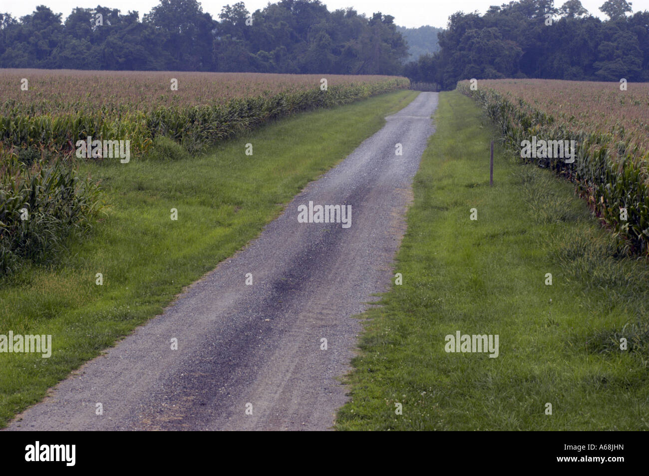 Queen Anne s County Wye Island Natural Resources Management Area rural