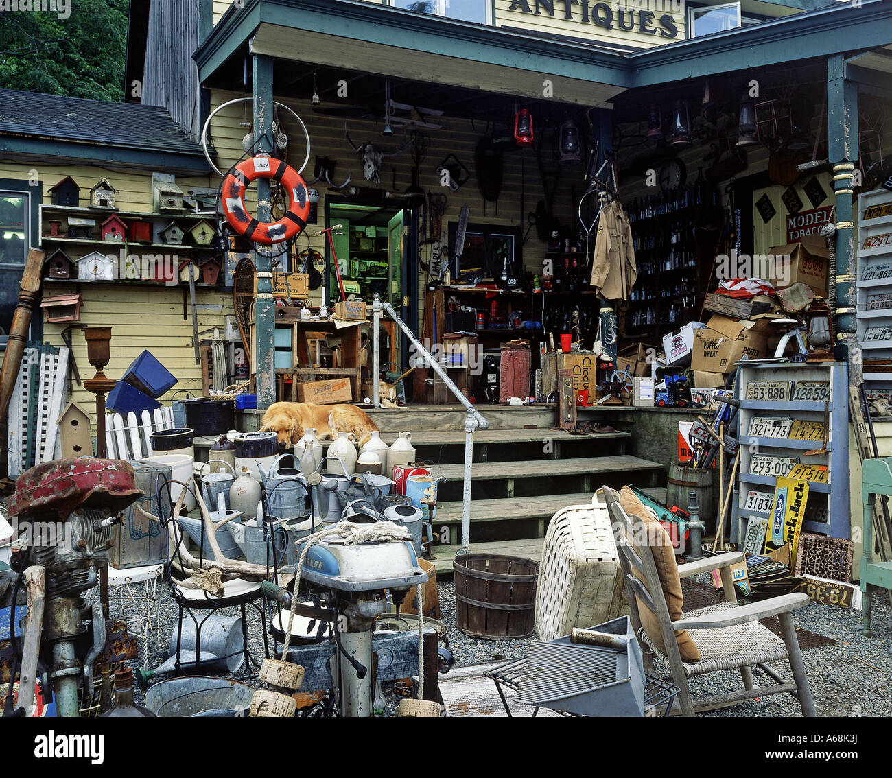 Antique shop Maine Stock Photo Alamy