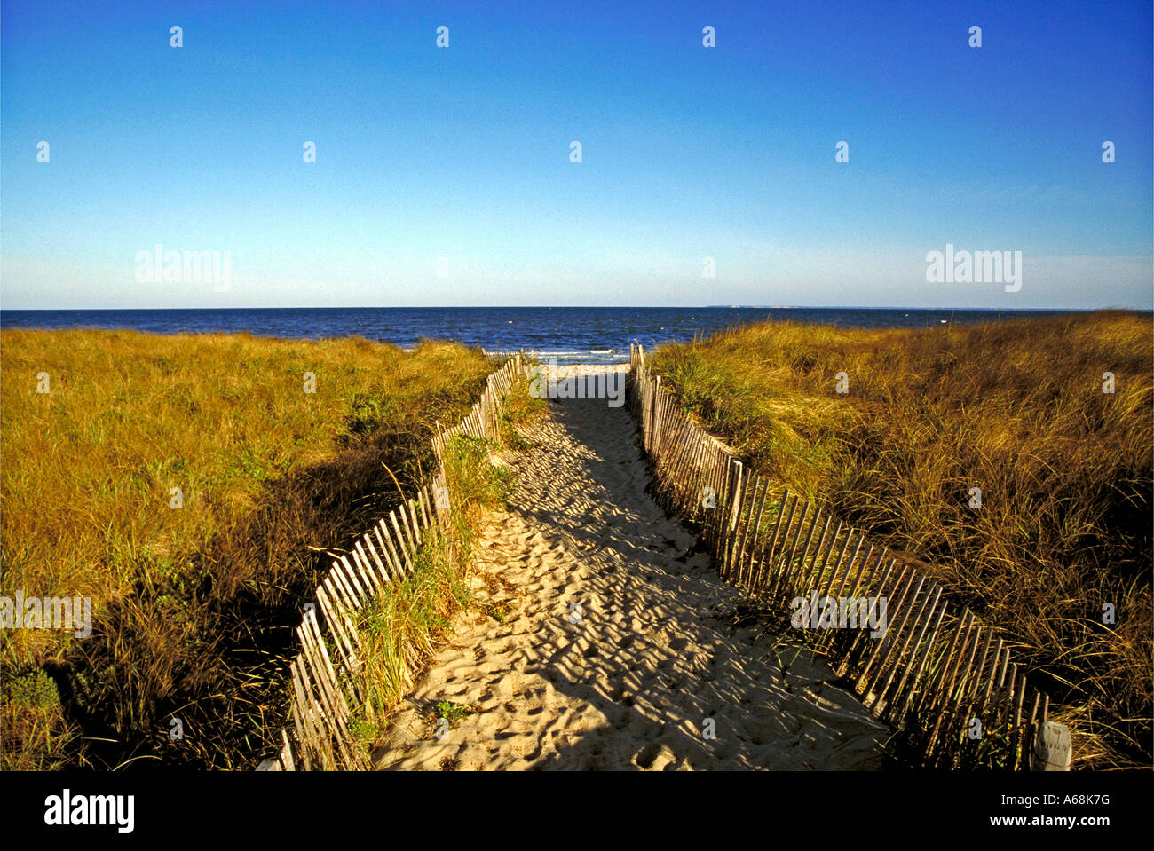 Beach path through dune grass Brewster Cape Cod MA Stock Photo Alamy