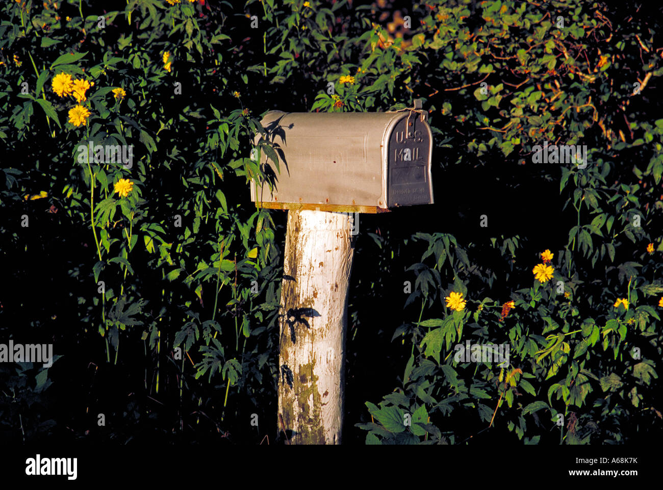 Rural mailbox Stock Photo