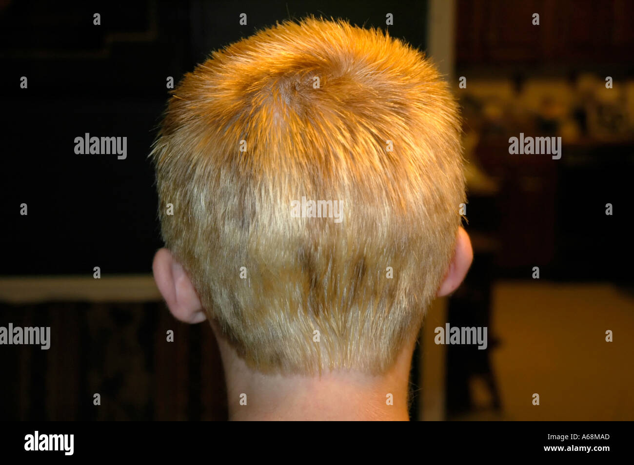 Back of the head of a teenage boy after a botched job at highlighting his  hair Stock Photo - Alamy