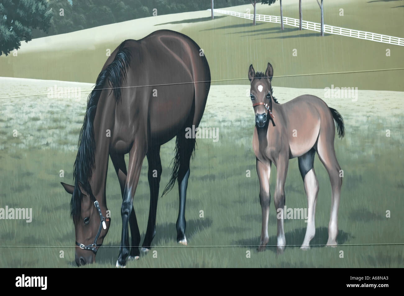 Painted horse mural on a water tank in Lexington Kentucky USA depicting