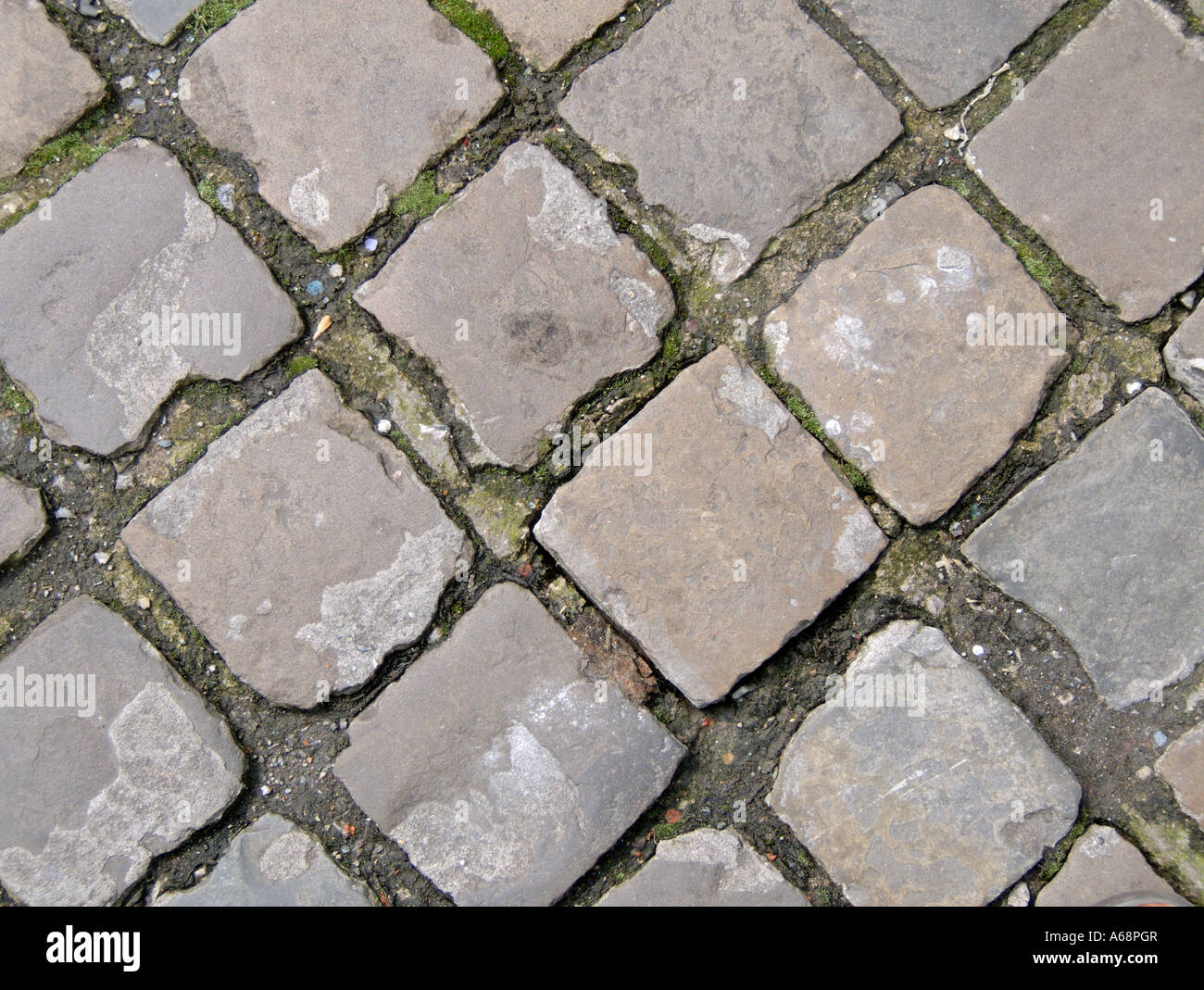 Close up of paving stone. Charleroi. Hainaut, Wallonia. Belgium. Stock Photo