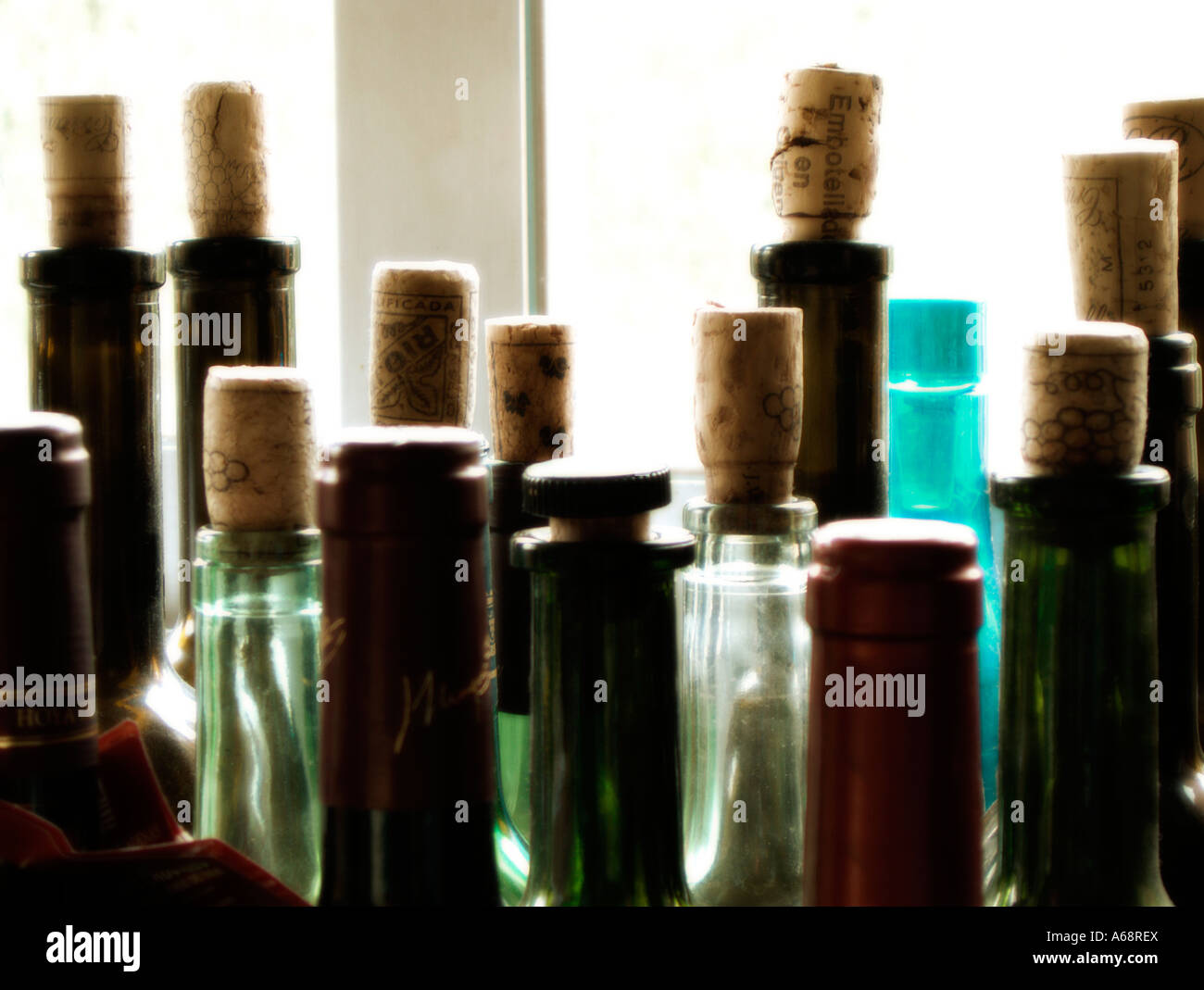 Storing empty wine bottles hi-res stock photography and images - Alamy