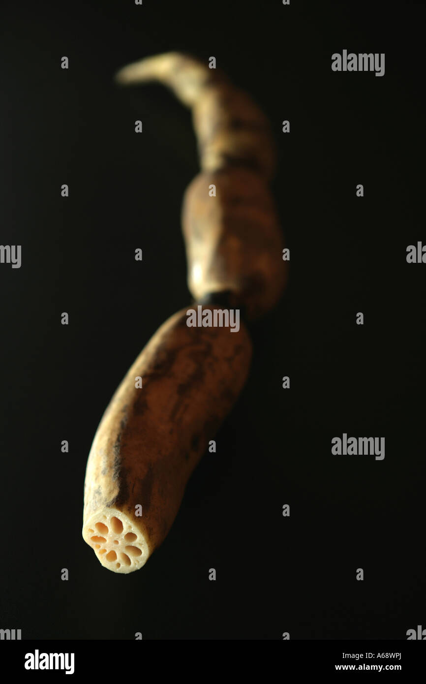 Lotus root patterns hi-res stock photography and images - Alamy