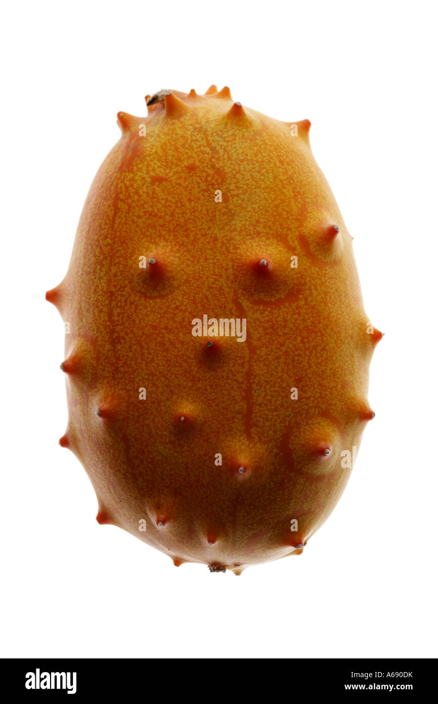Thorn melon hires stock photography and images Alamy