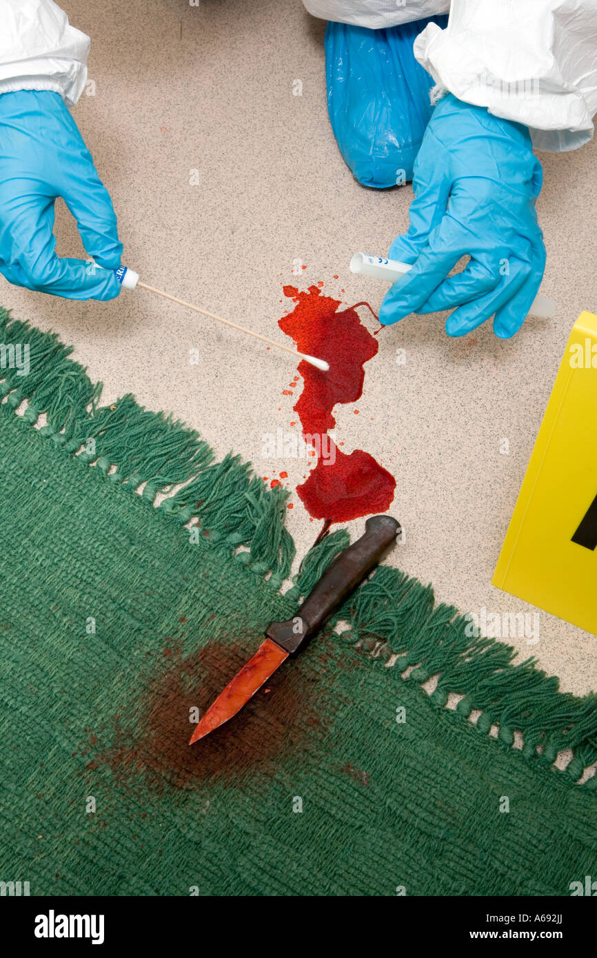Forensic Officer collecting blood at a crime scene Stock Photo Alamy