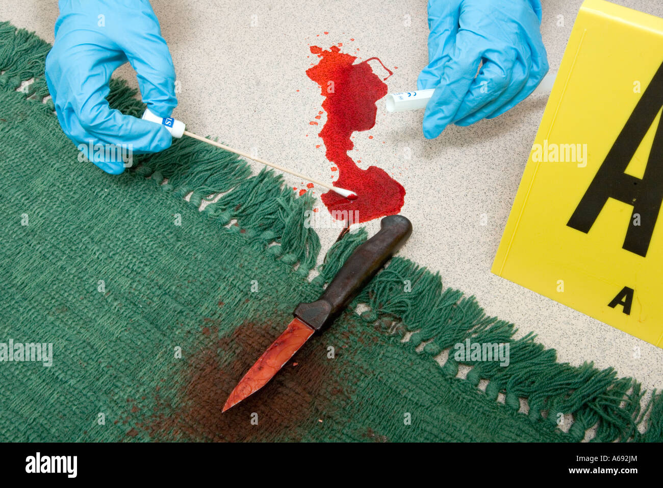 Forensic Officer collecting blood at a crime scene Stock Photo Alamy
