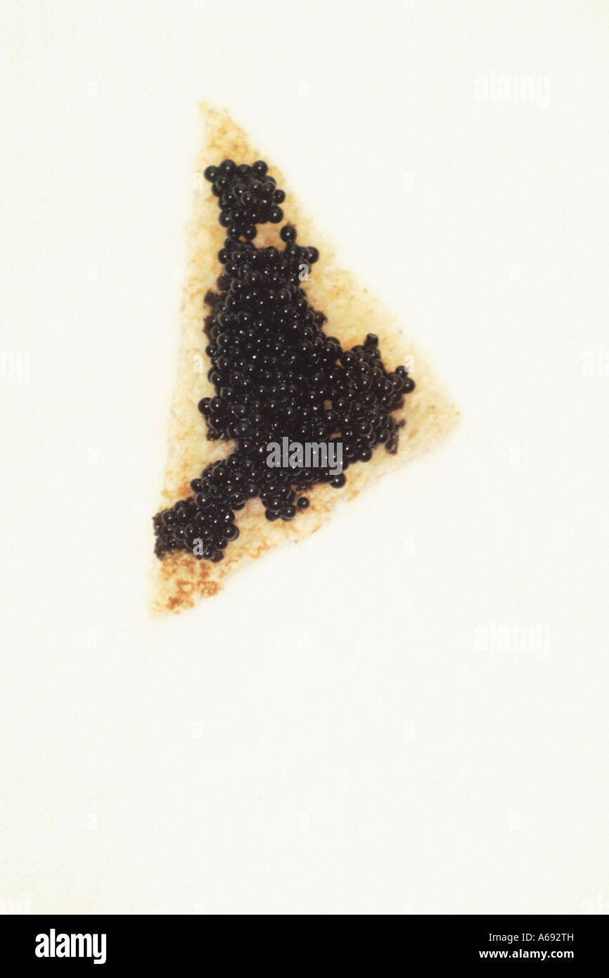 Still Life of Black Caviar on Toast Points on a White Background Copy