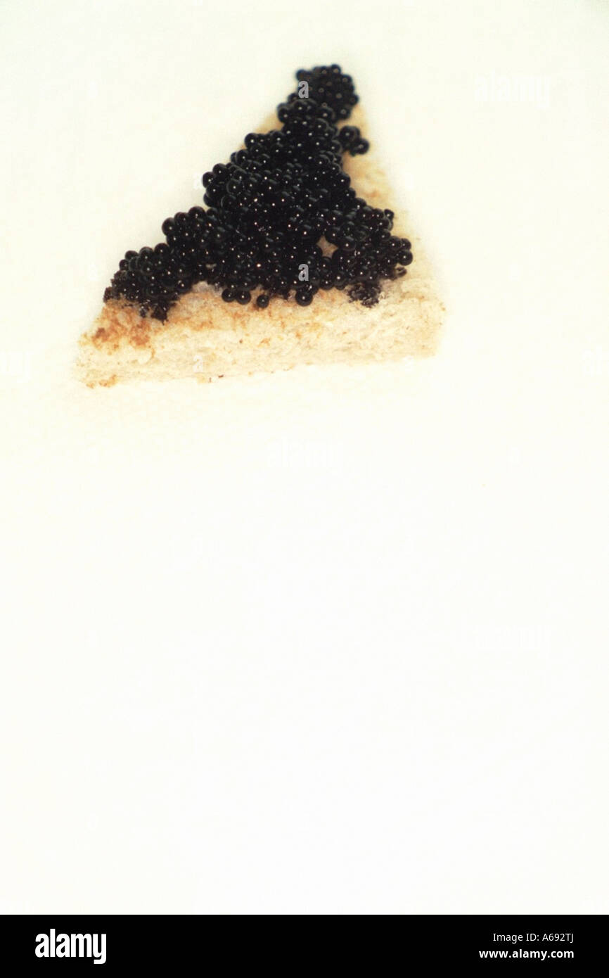 Black Caviar on Toast Points on a White Background Copy Space Stock
