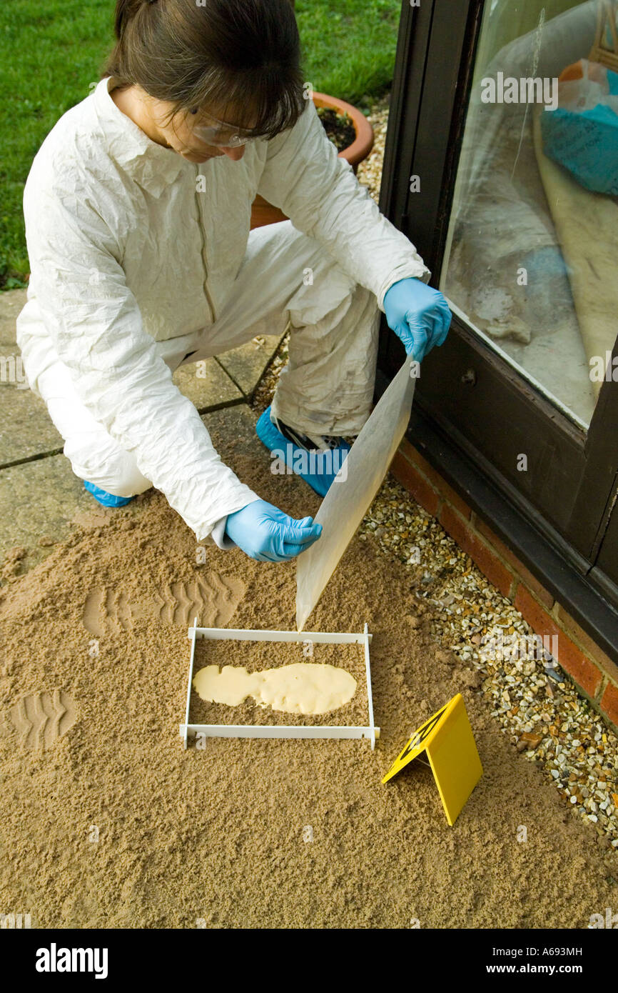 Crime scene officer pouring fine plaster of paris over shoe print Stock
