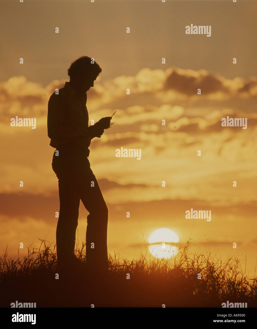 pensive man alone in field at sunset Stock Photo