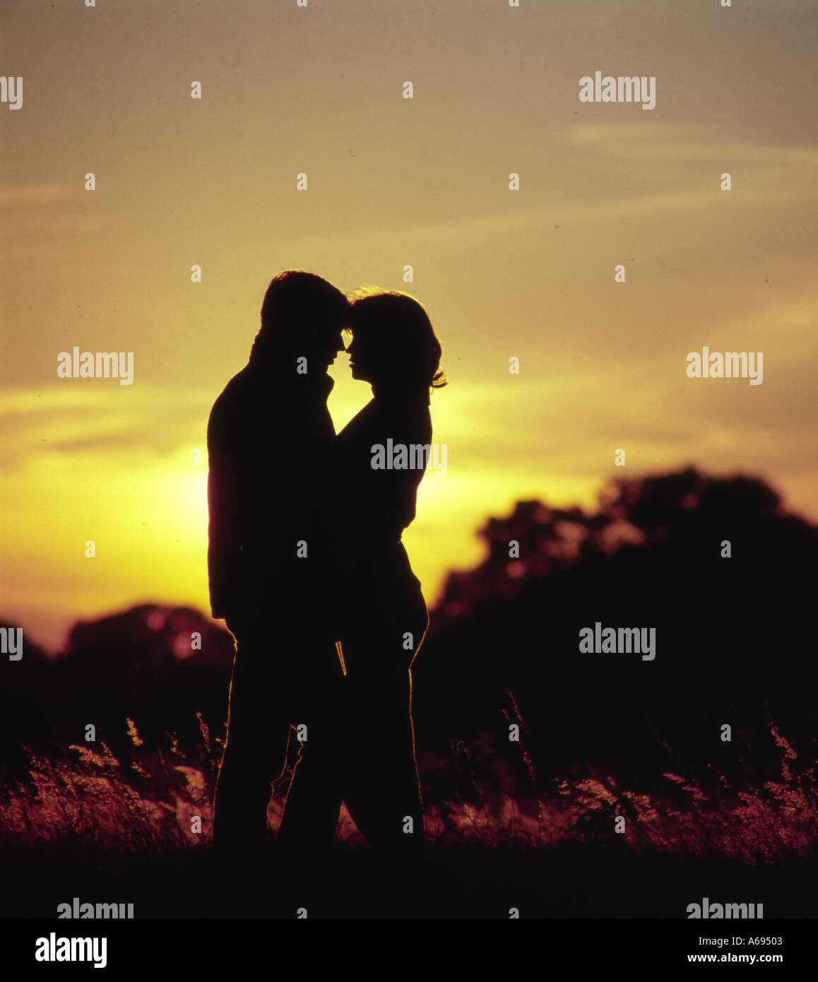 romantic couple embracing in field at sunset Stock Photo - Alamy