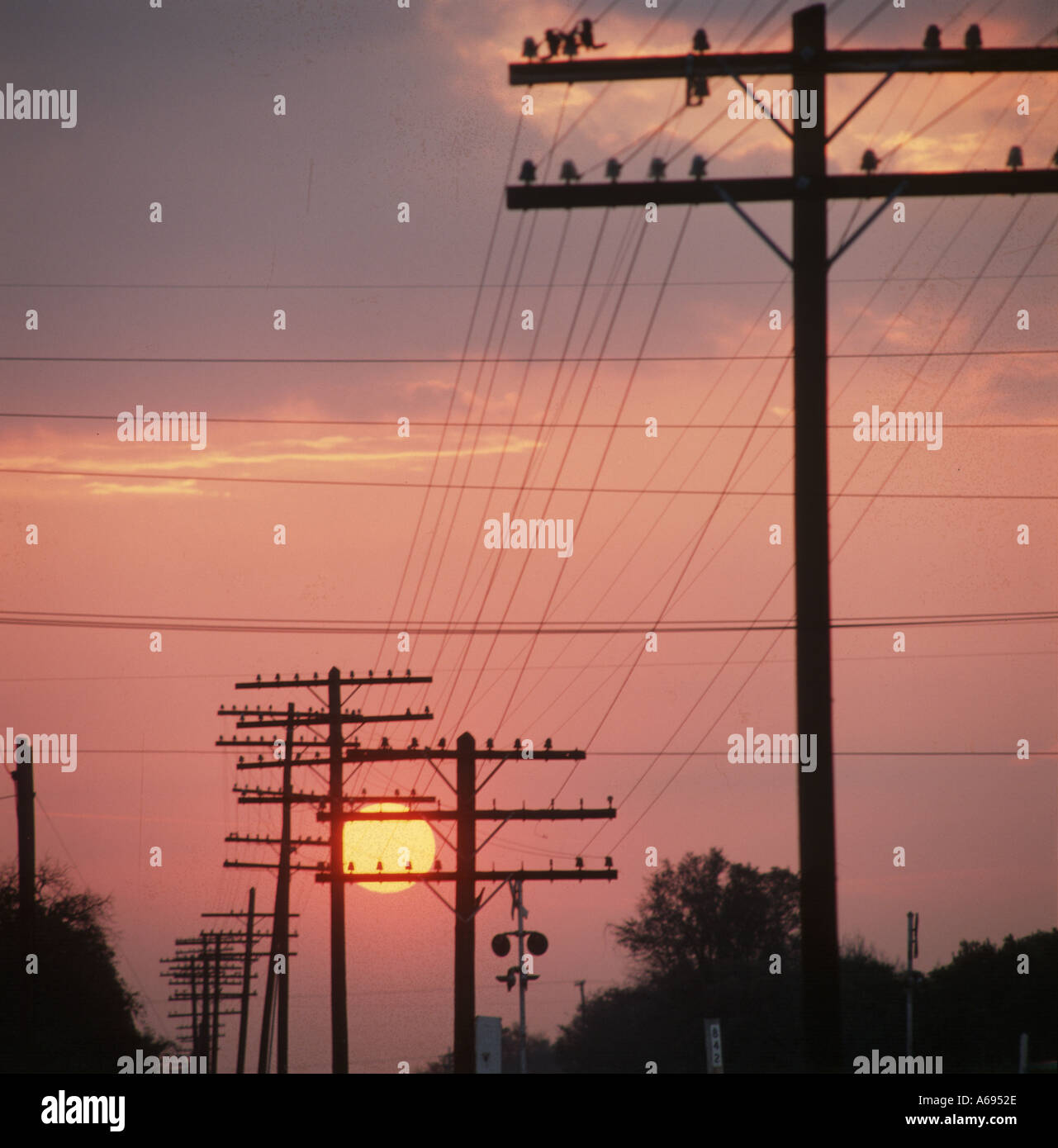 Sunset And Telephone Poles Stock Photo Alamy