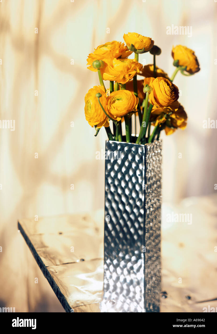 Flowers in metal vase hires stock photography and images Alamy