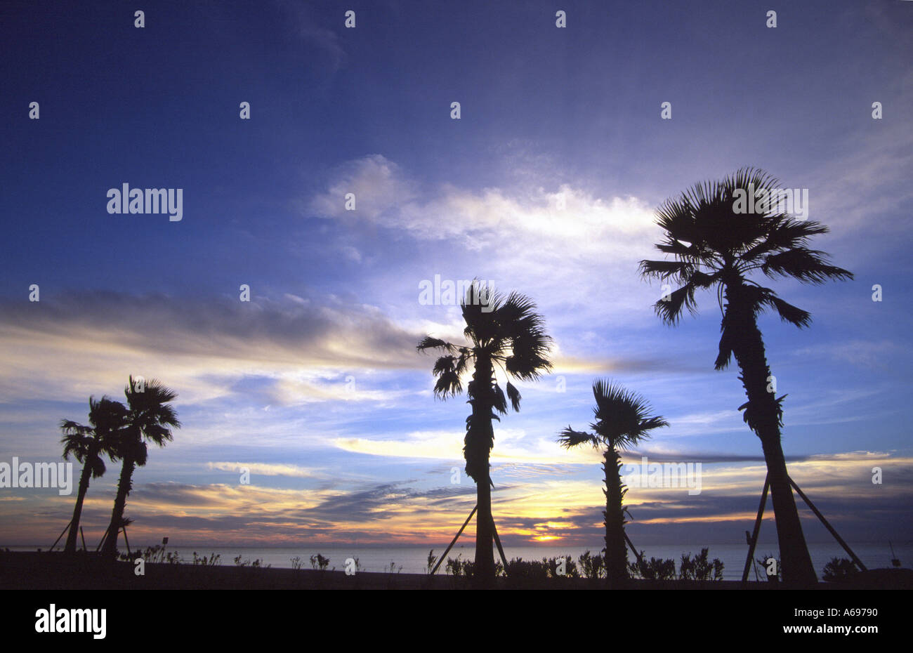 Tropic tropics tropical hi-res stock photography and images - Alamy