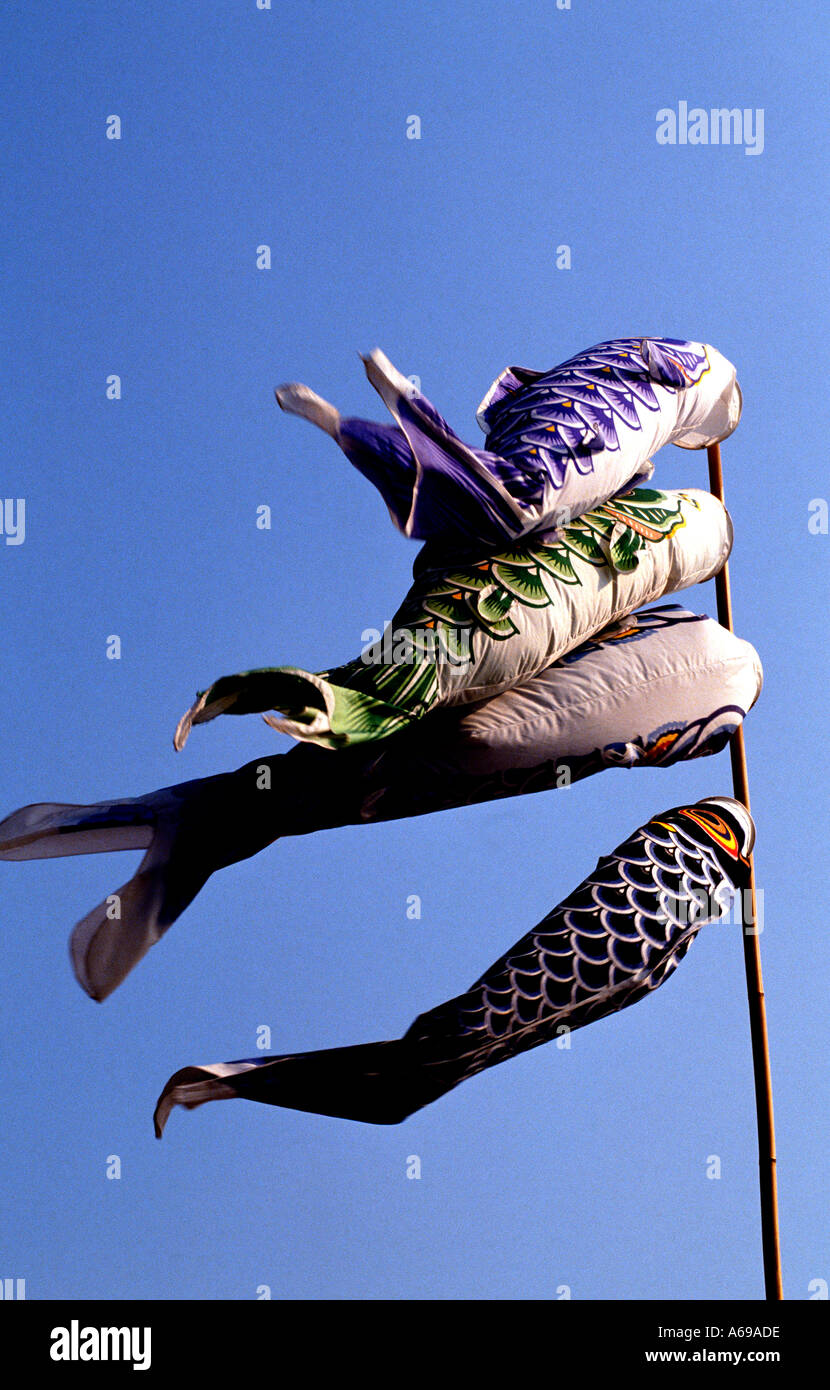 Japanese fish flags Stock Photo Alamy