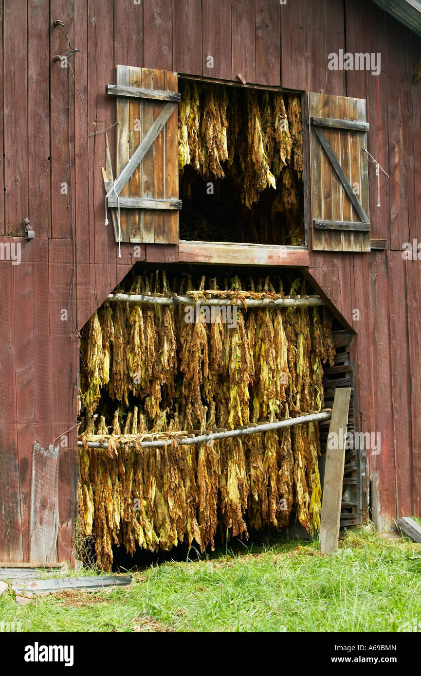 Tobacco farm north carolina hi-res stock photography and images