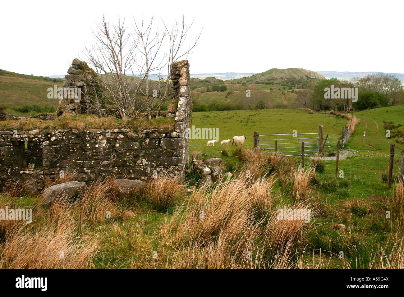 County Fermanagh Marlbank abandoned cottage on hill farm Stock Photo