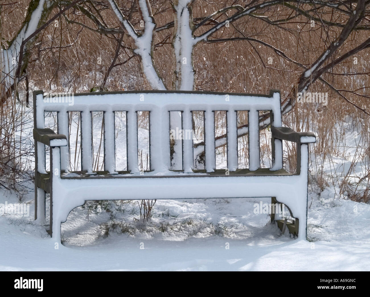 BENCH COVERED  WITH DRIVEN SNOW, HORSEY MERE, NORFOLK BROADS, EAST ANGLIA, ENGLAND, UK, UNITED KINGDOM, Stock Photo