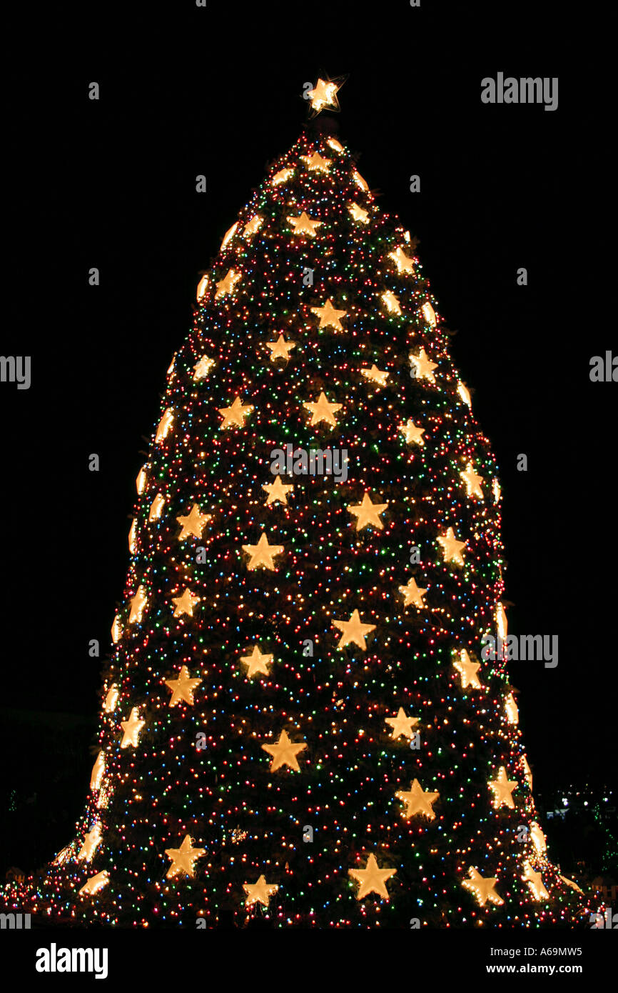 National Christmas Tree Washington DC USA Stock Photo Alamy