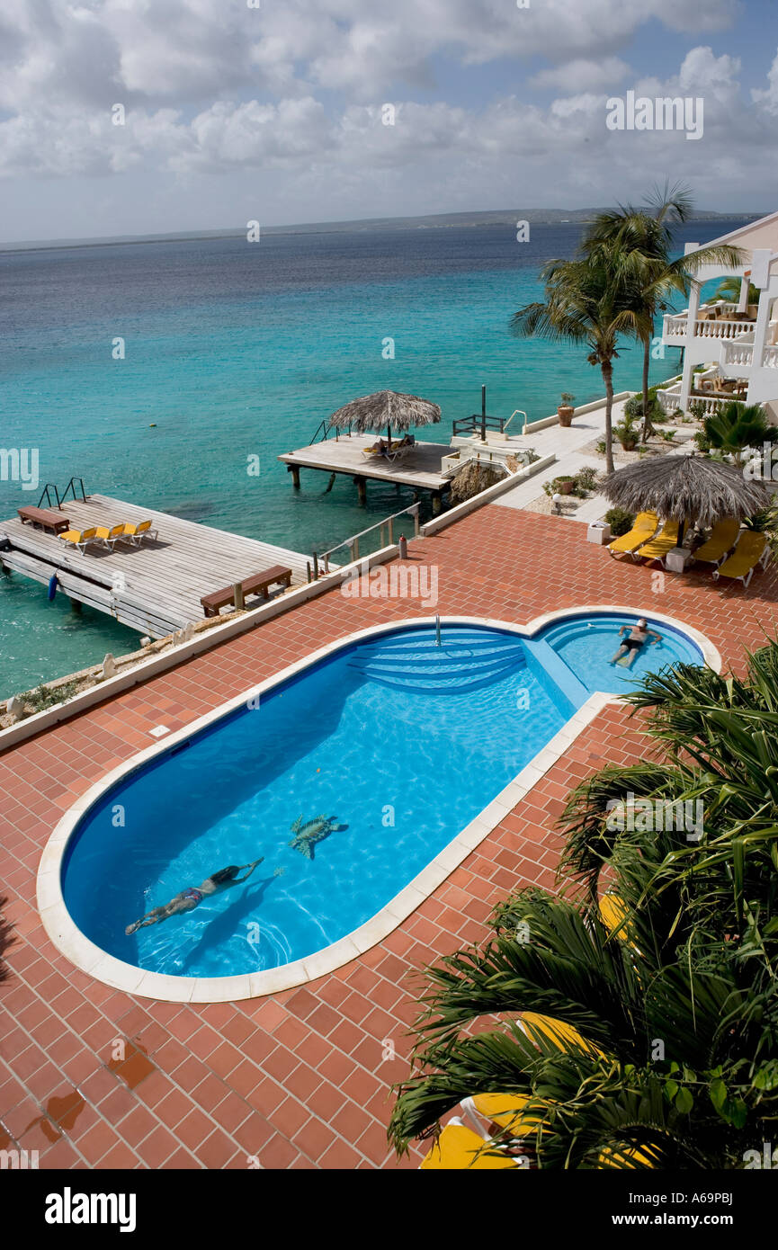 bonaire oceanfront apartments on View Of The Swimmng Pool Dock At The Belmar Apartments Bonaire Stock Photo Alamy