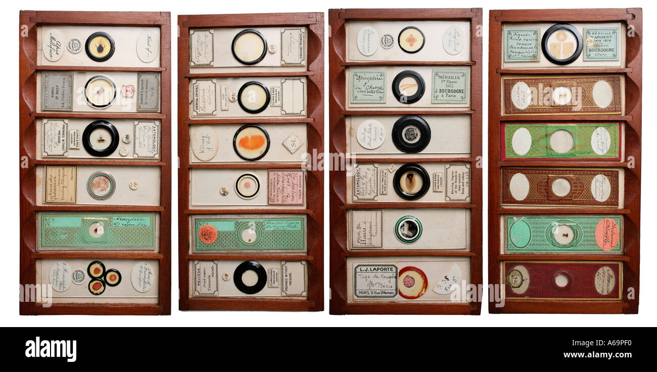 Antique microscope slides some paper covered Stock Photo Alamy