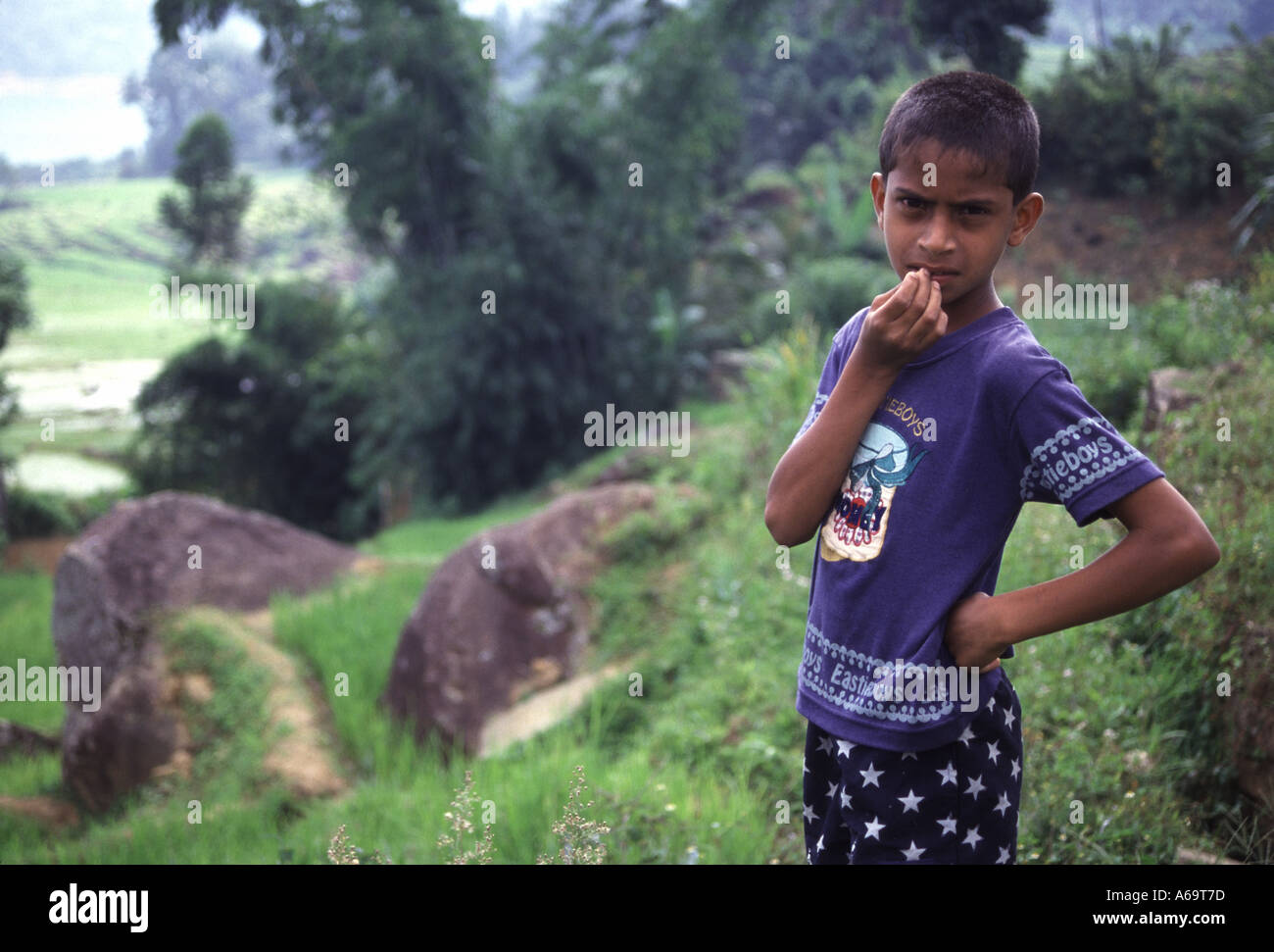 Local boy in Sri Lanka Stock Photo - Alamy
