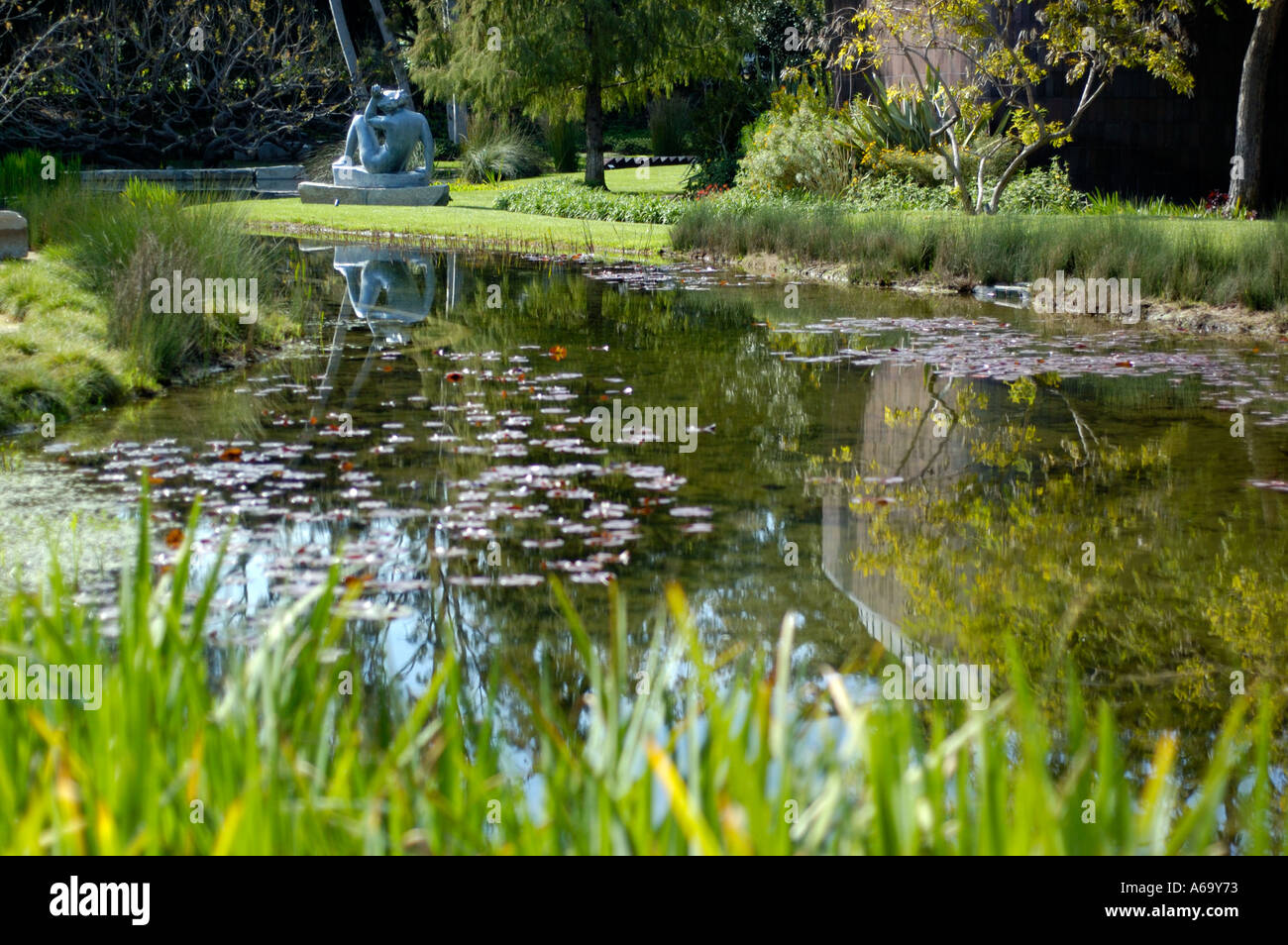 Norton Simon museum gardens in Pasadena California USA Stock Photo Alamy