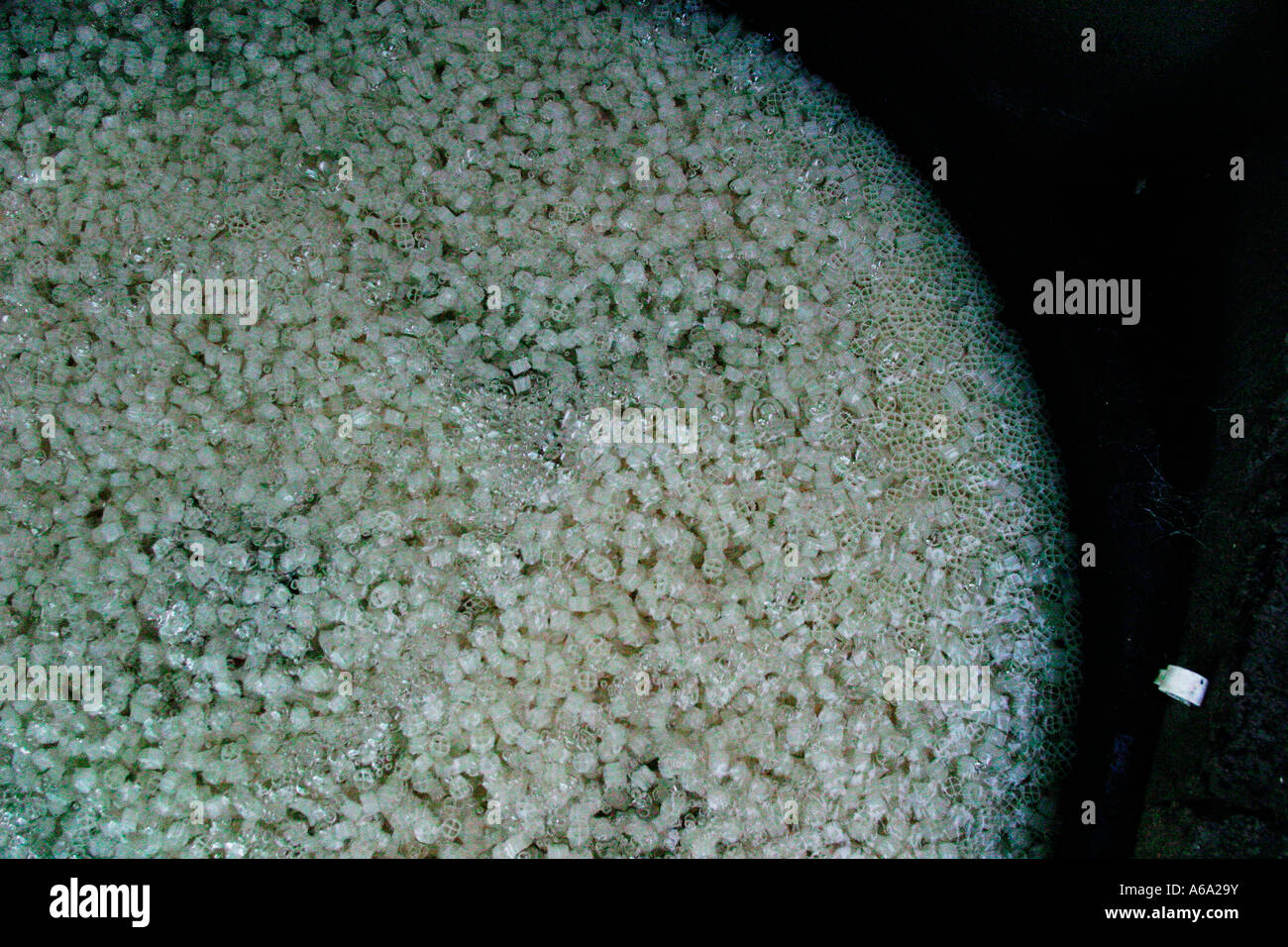 FILTER MEDIA KALDNES KEPT MOVING BY AIR Stock Photo - Alamy