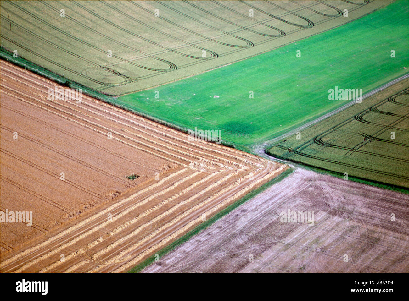 Open field pattern hi-res stock photography and images - Alamy