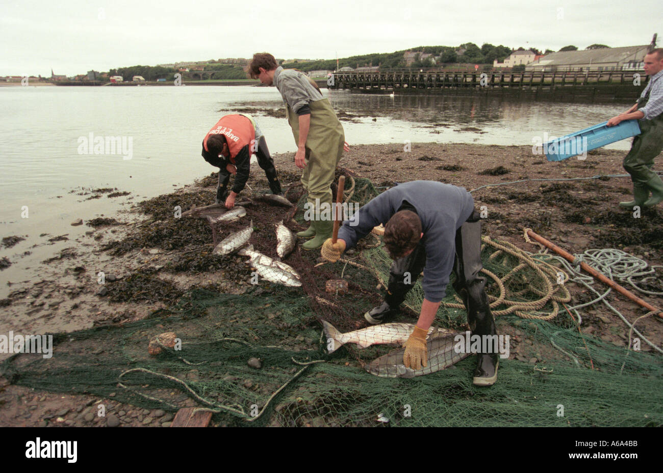 Salmon netting on English side of River Tweed at Berwick Stock Photo
