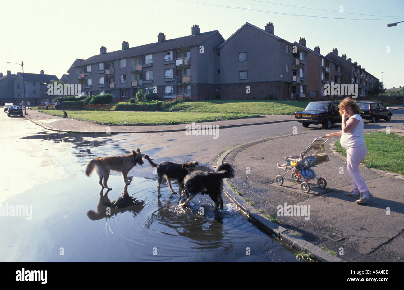 Council housing scotland hires stock photography and images Alamy